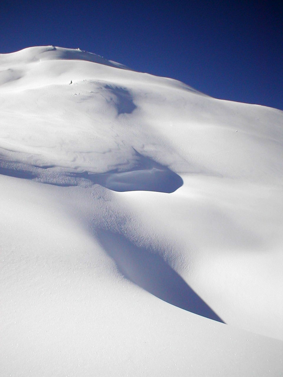 Snow desert
