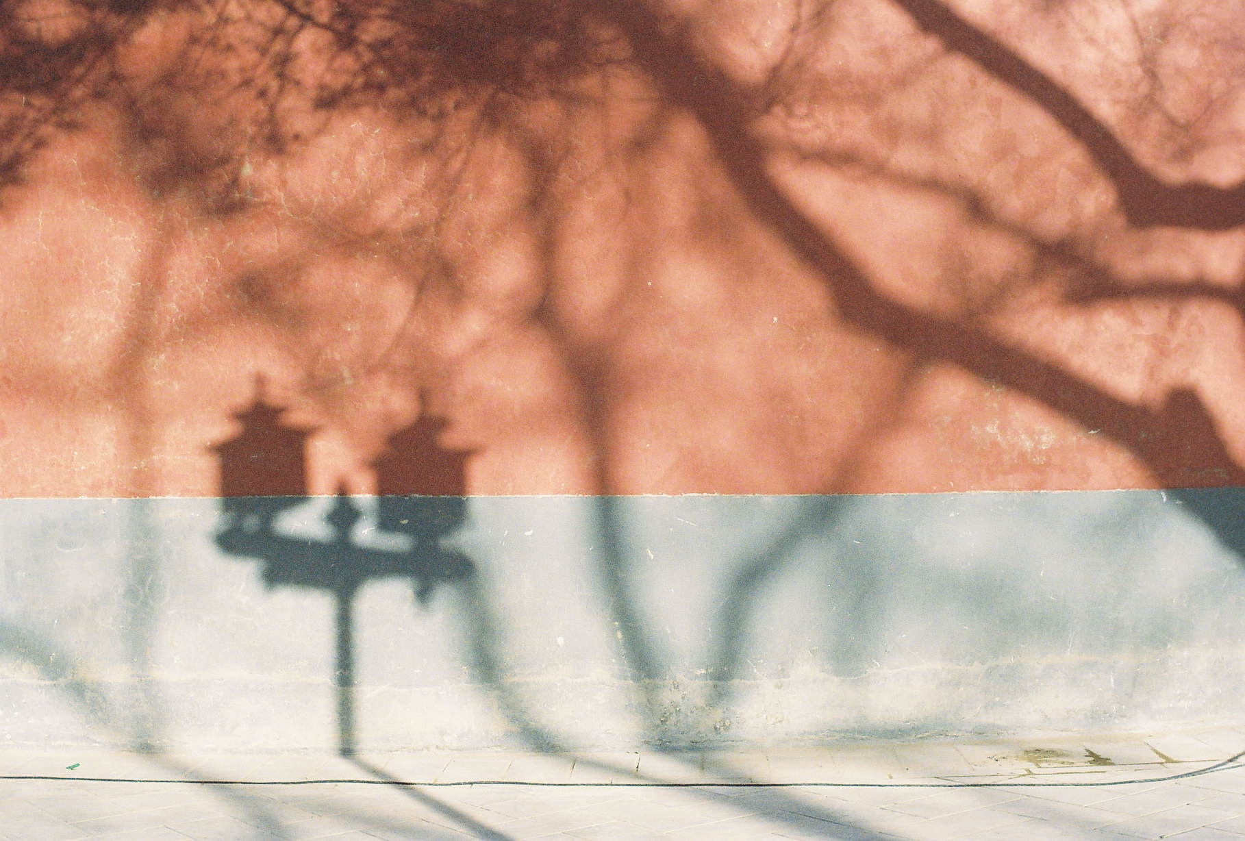 Chinese shadow