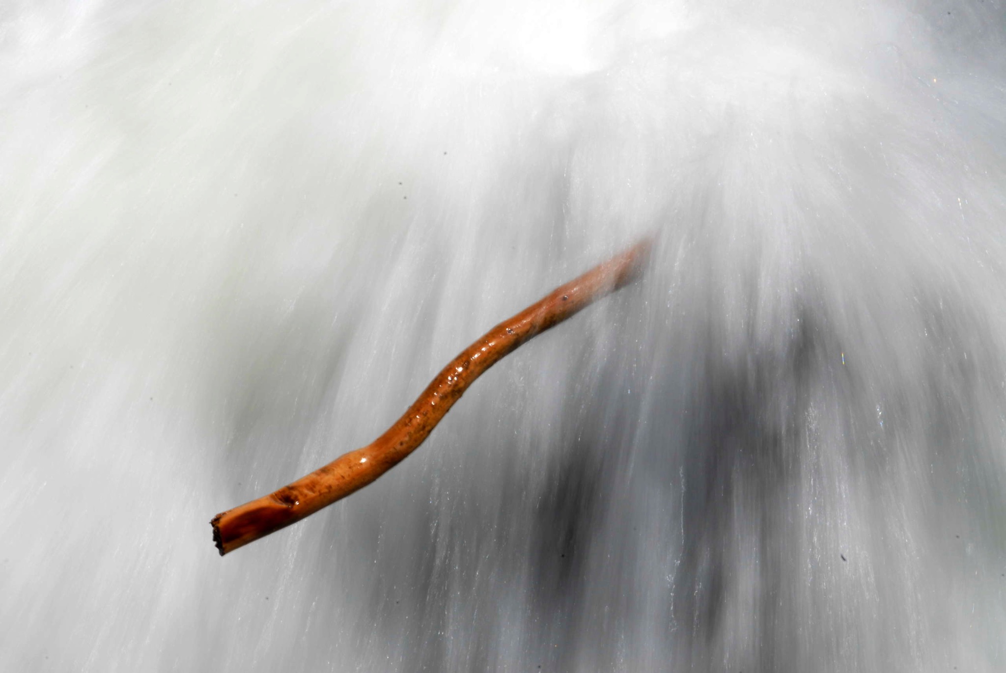 Driftwood