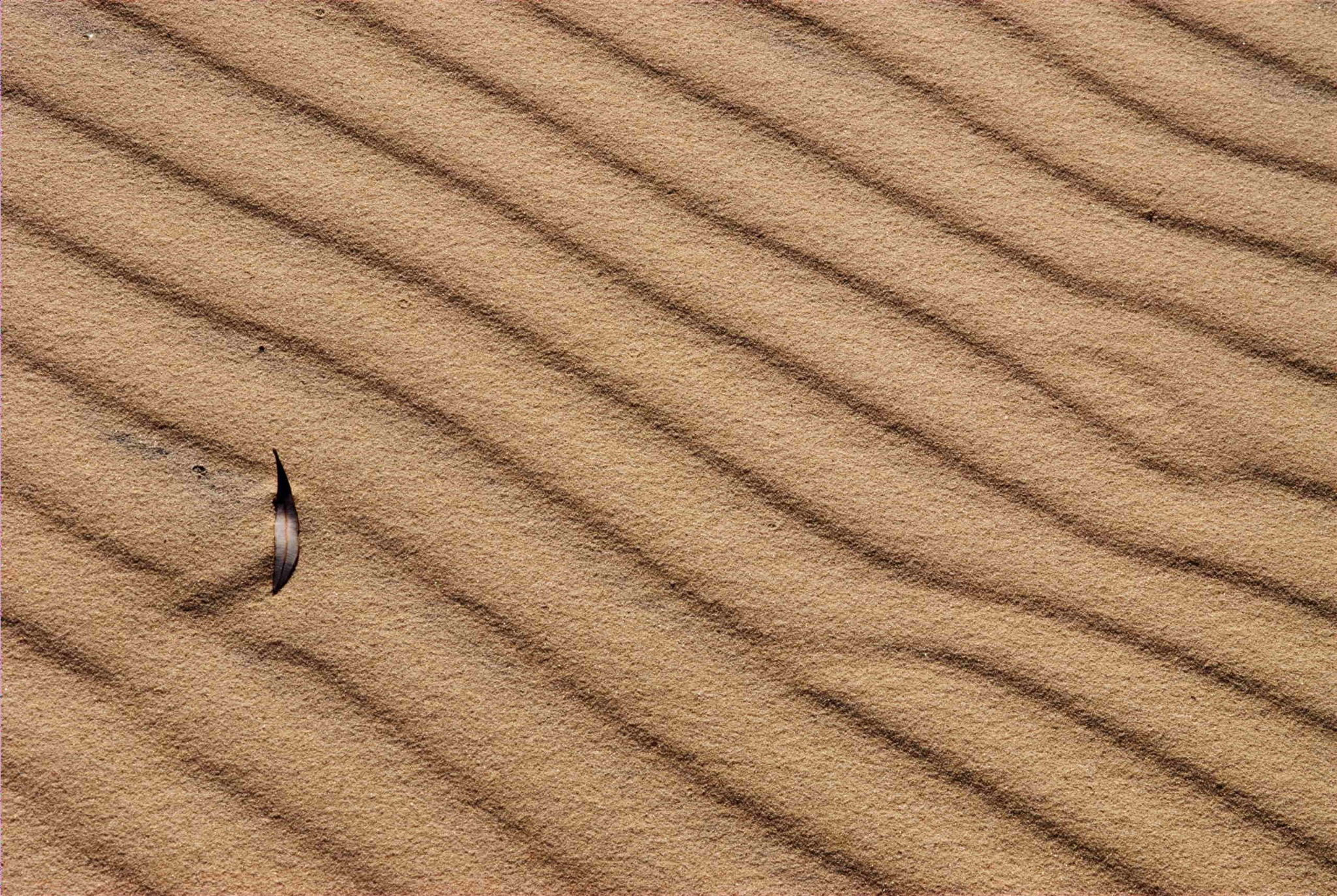 Sand