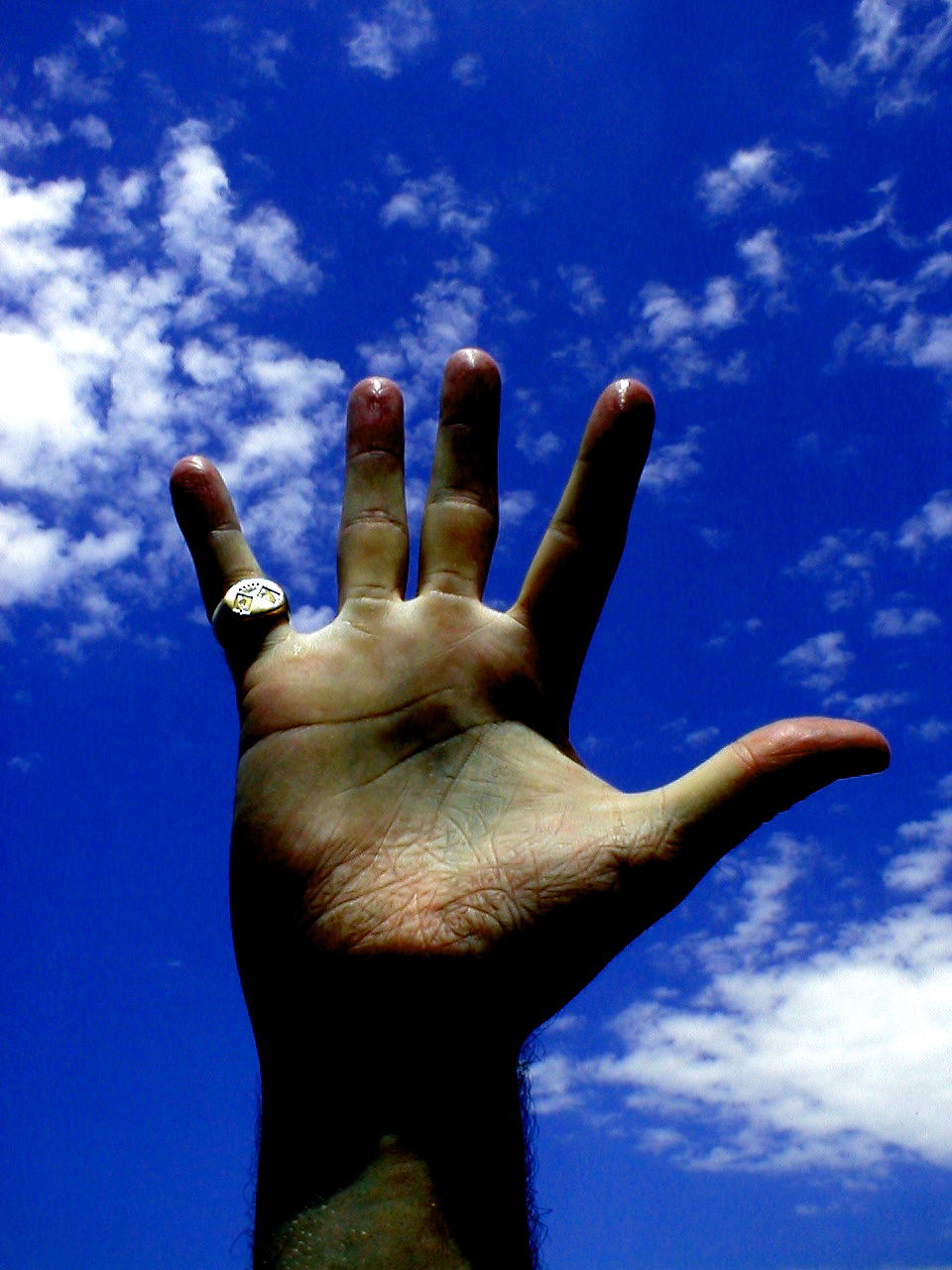 The Hand and the Ring