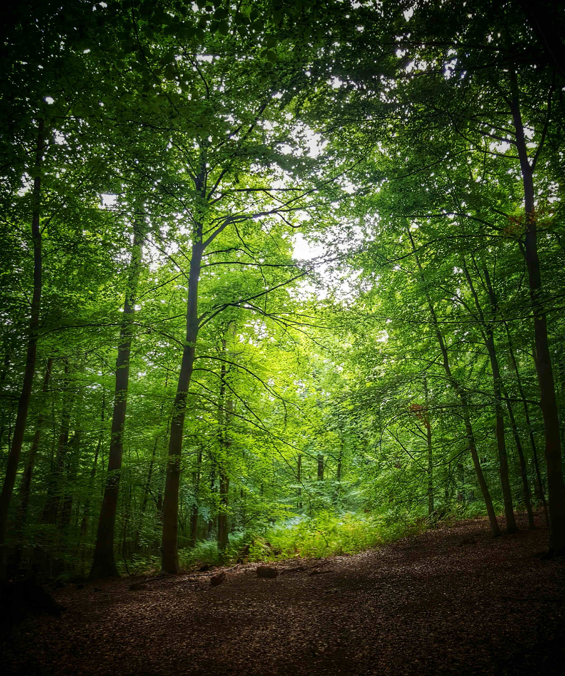 Green joy