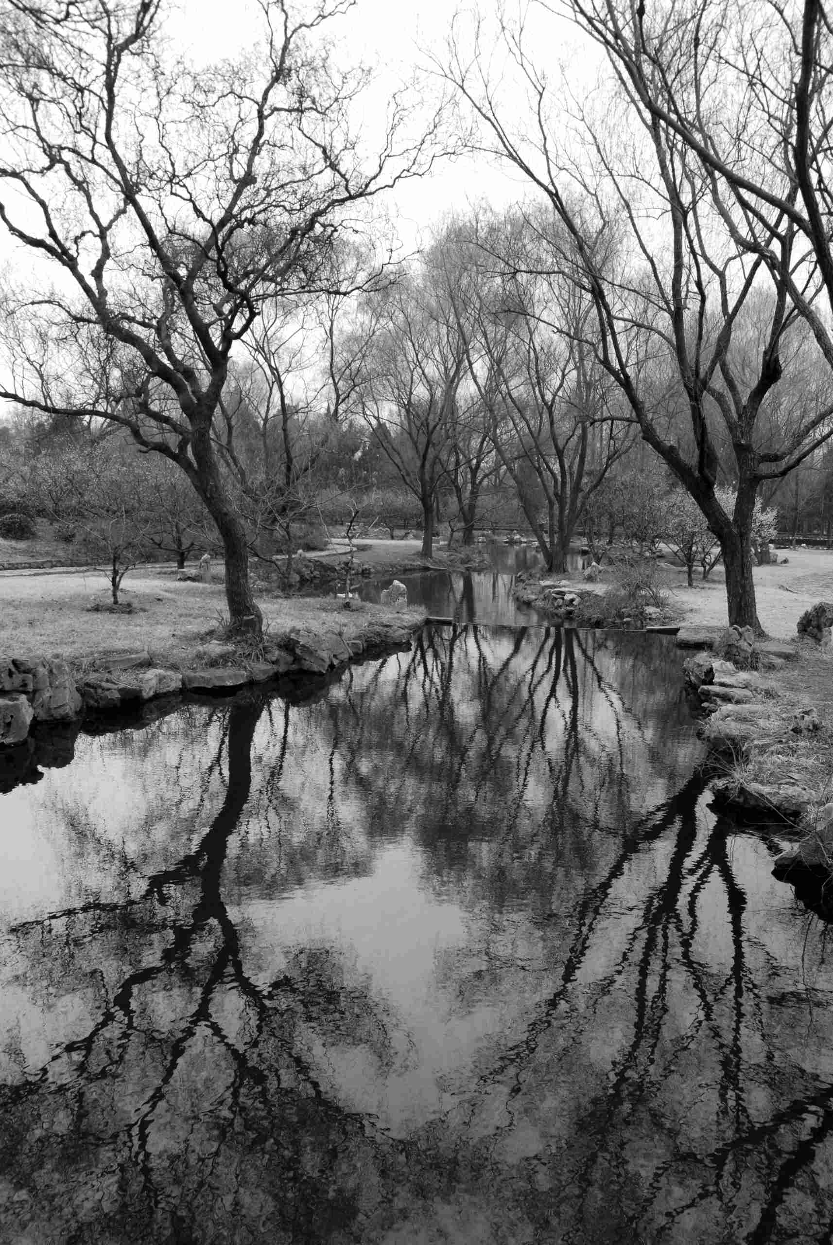 Nanjing park