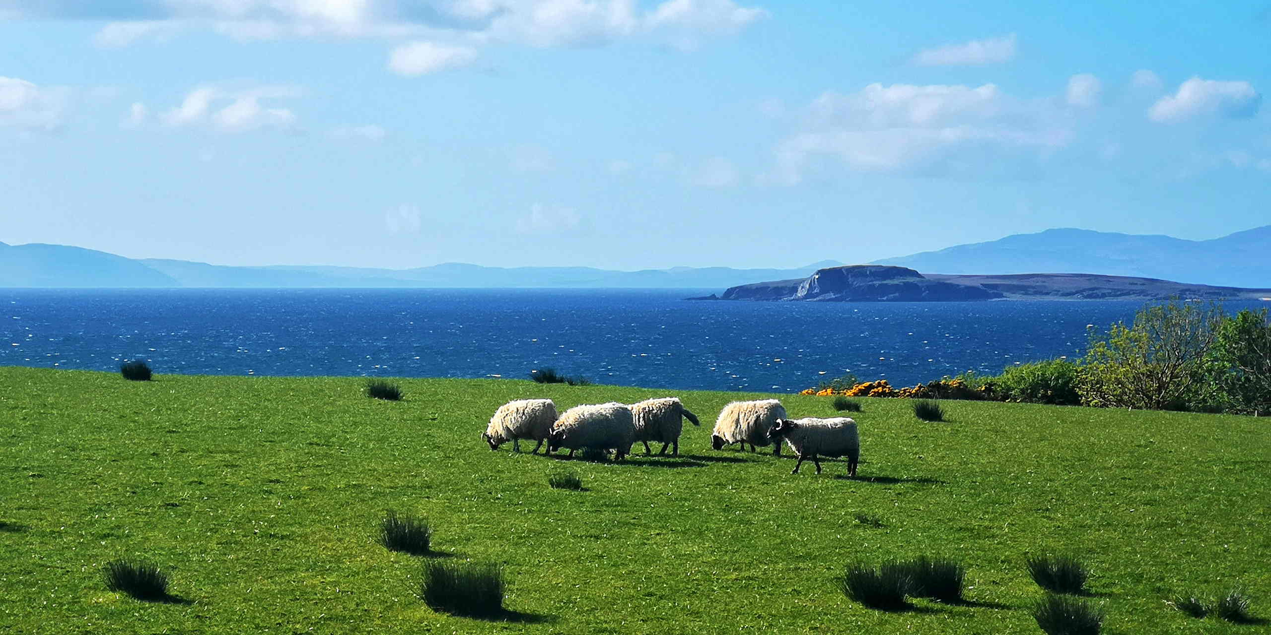Scotland