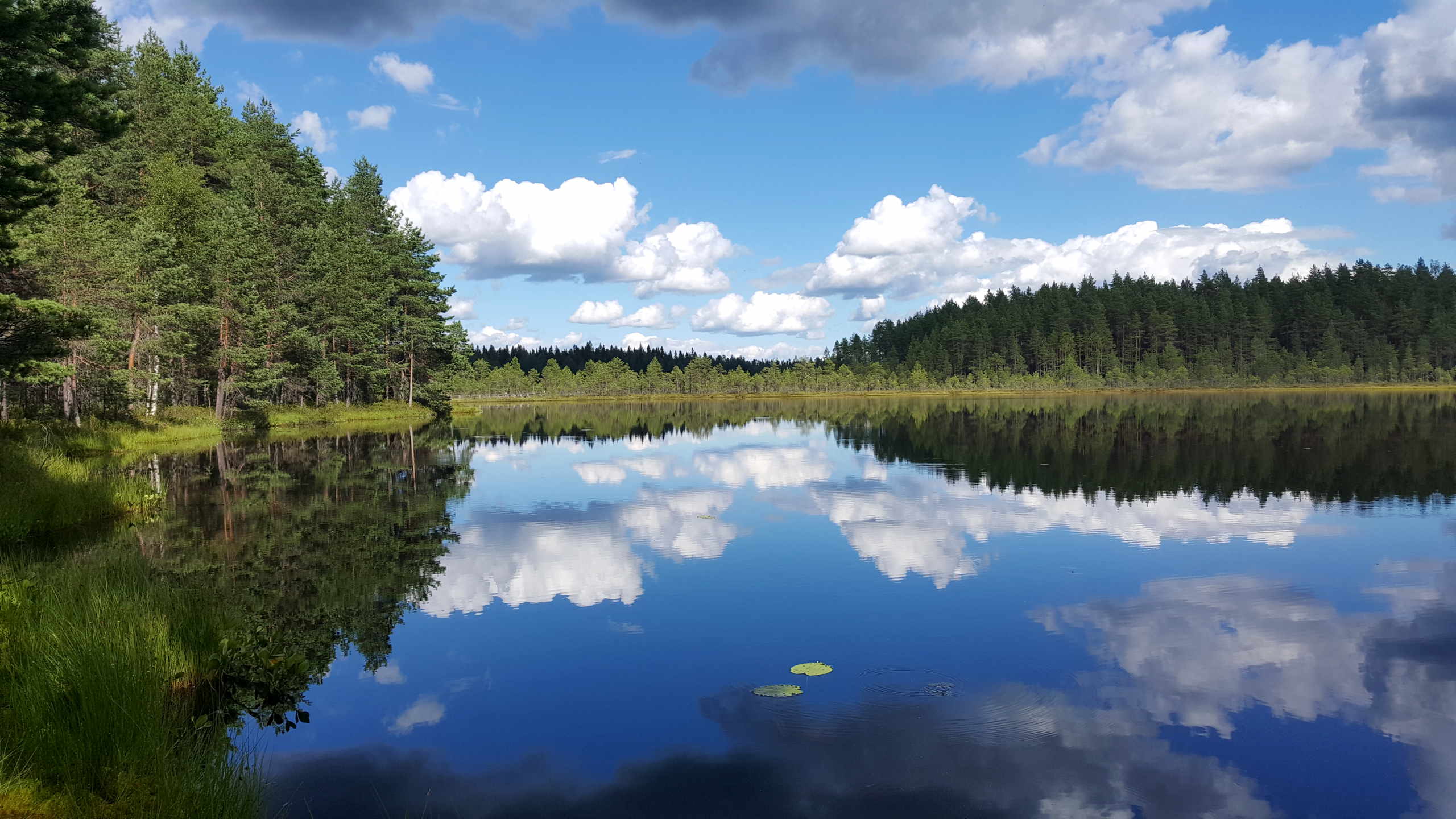 Seitseminen National Park