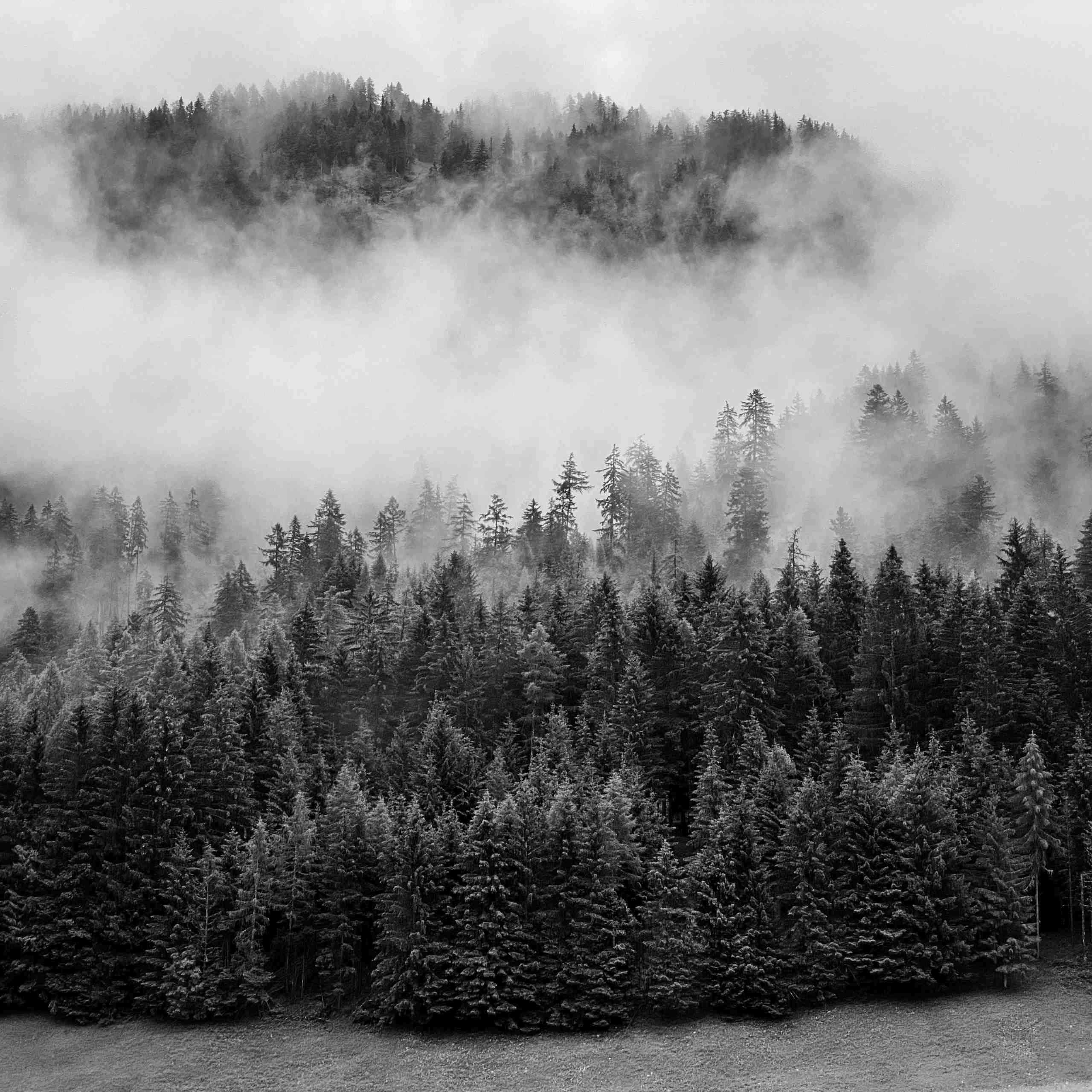Misty hill