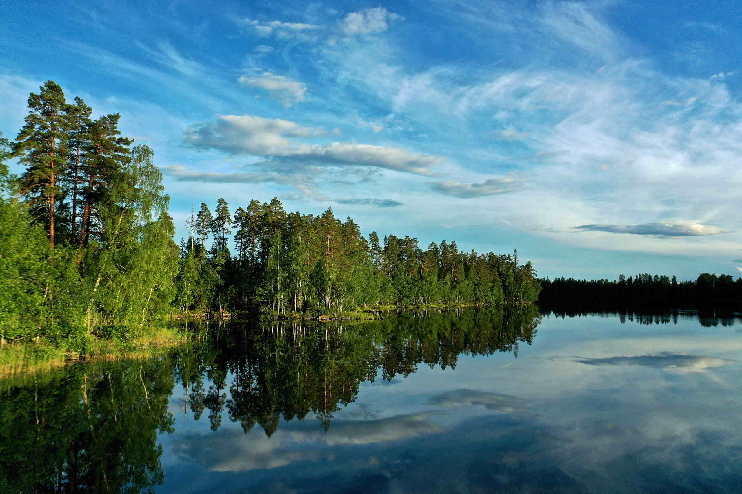 Trees and water