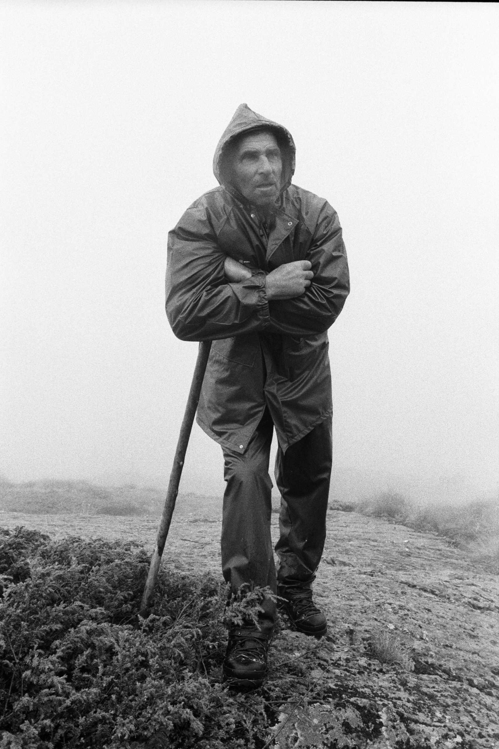 Le Berger