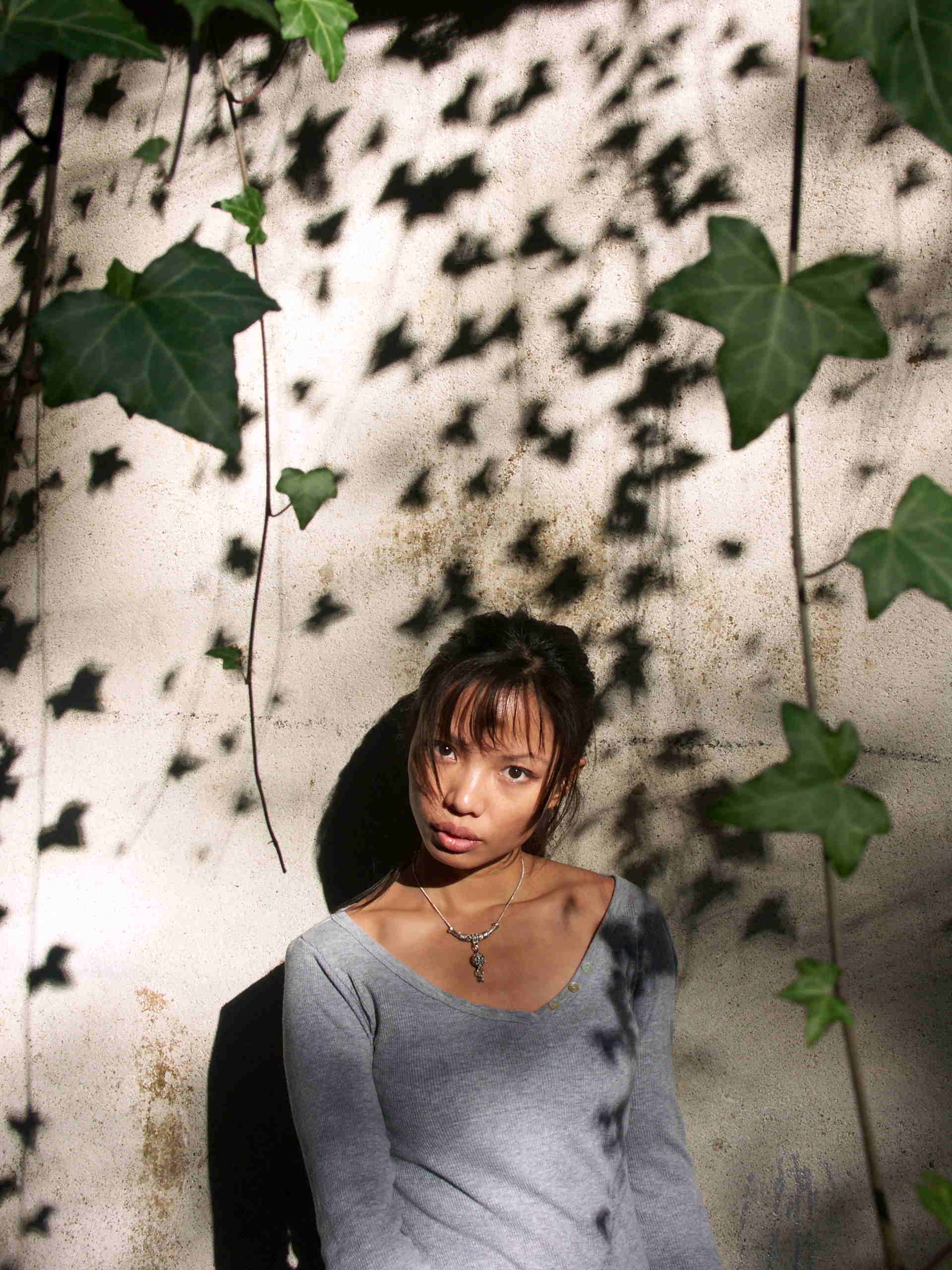Leaves
