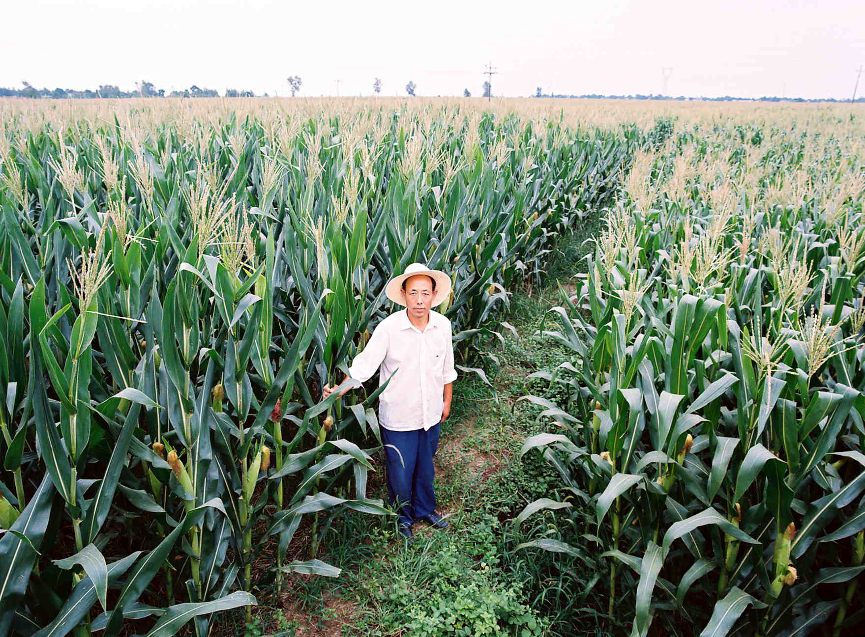 The farmer