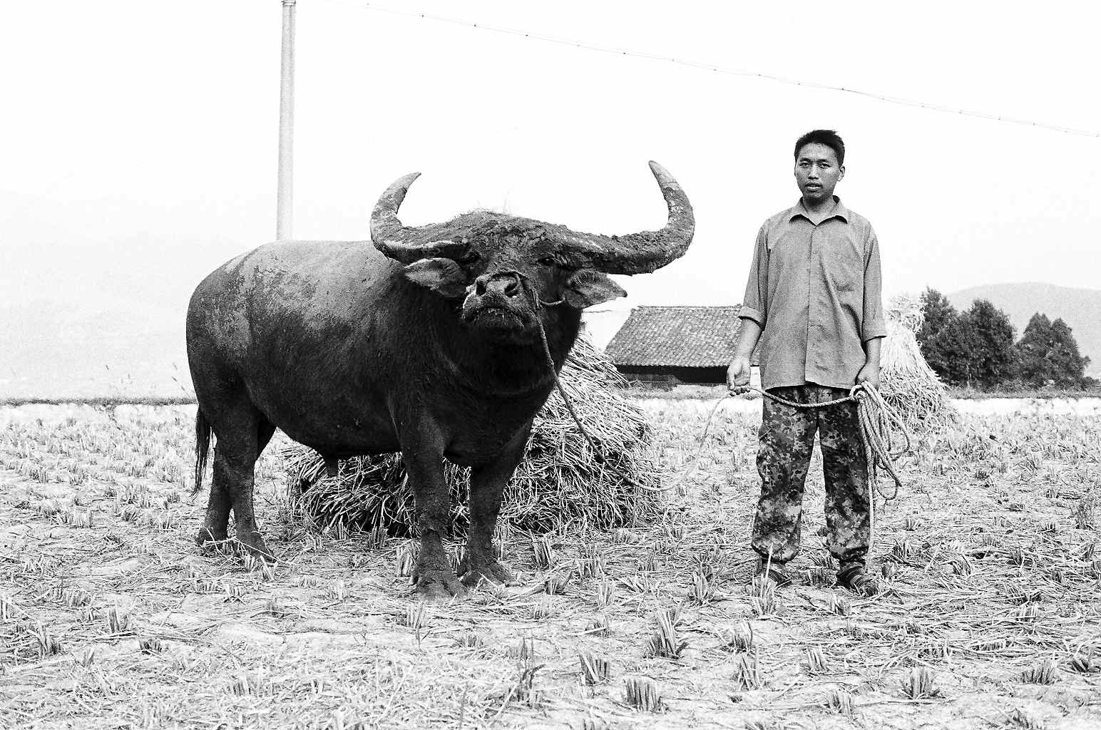 The man and the beast