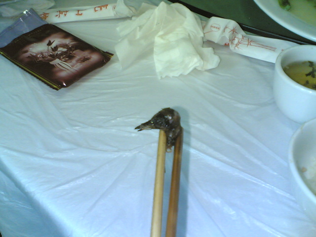 49 bird head