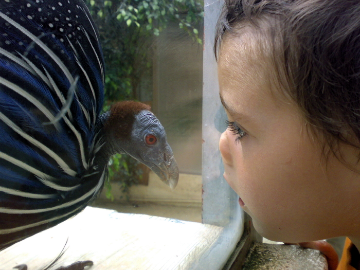 42 face to face