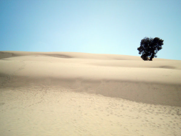 07 Moreton Island
