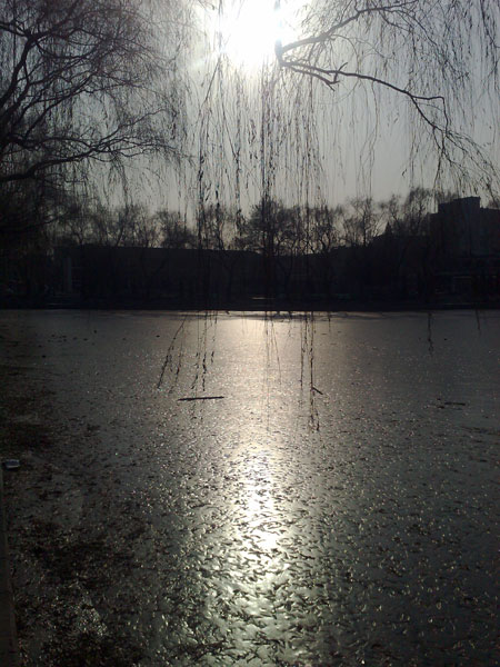 105 Xi hai on ice