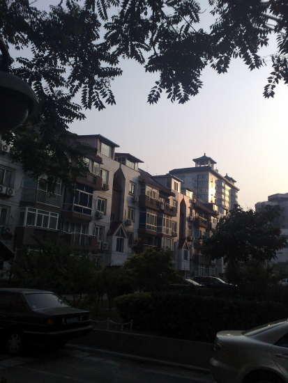 44 Dragon Court