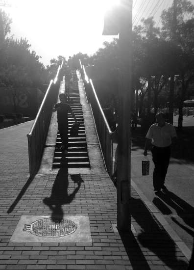 46 shadows