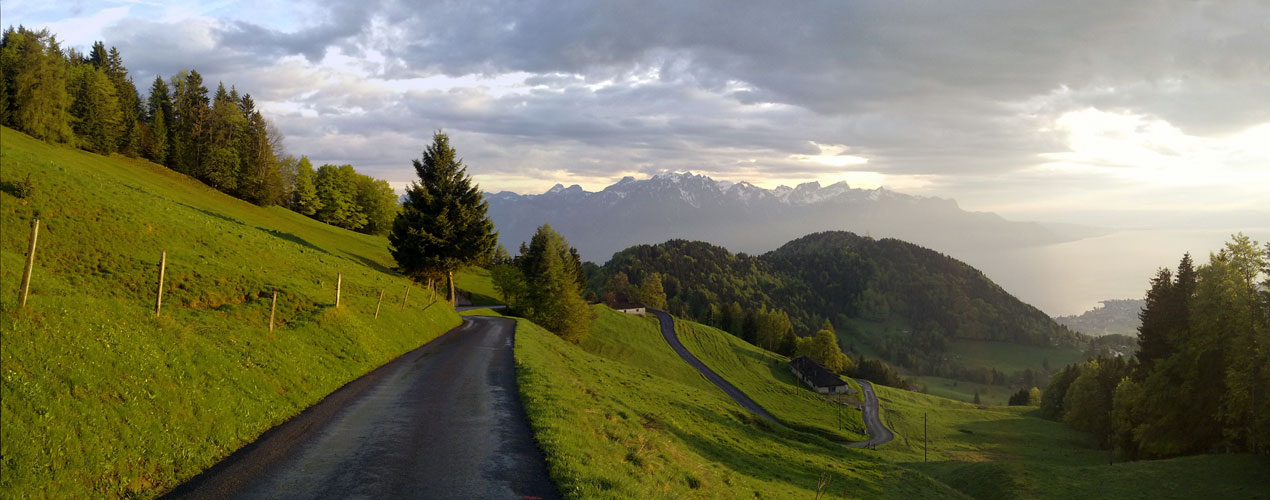 21 Pano sergniolat