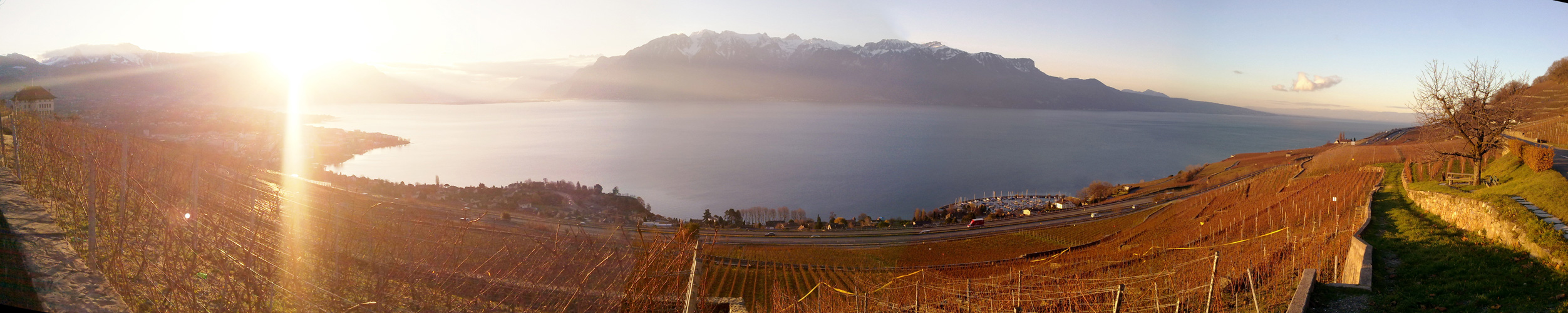 71 Panorama leman