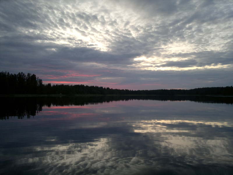 55