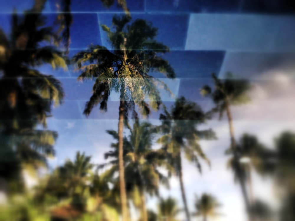 109 IMG 3033jpg