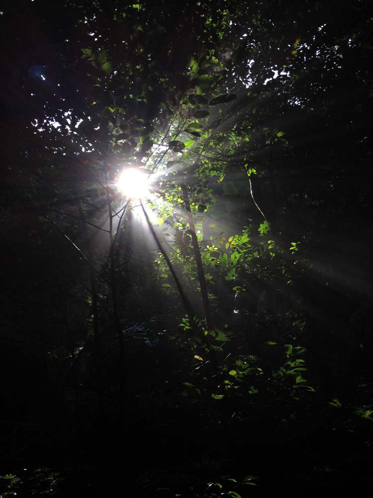 41 IMG 0783jpg
