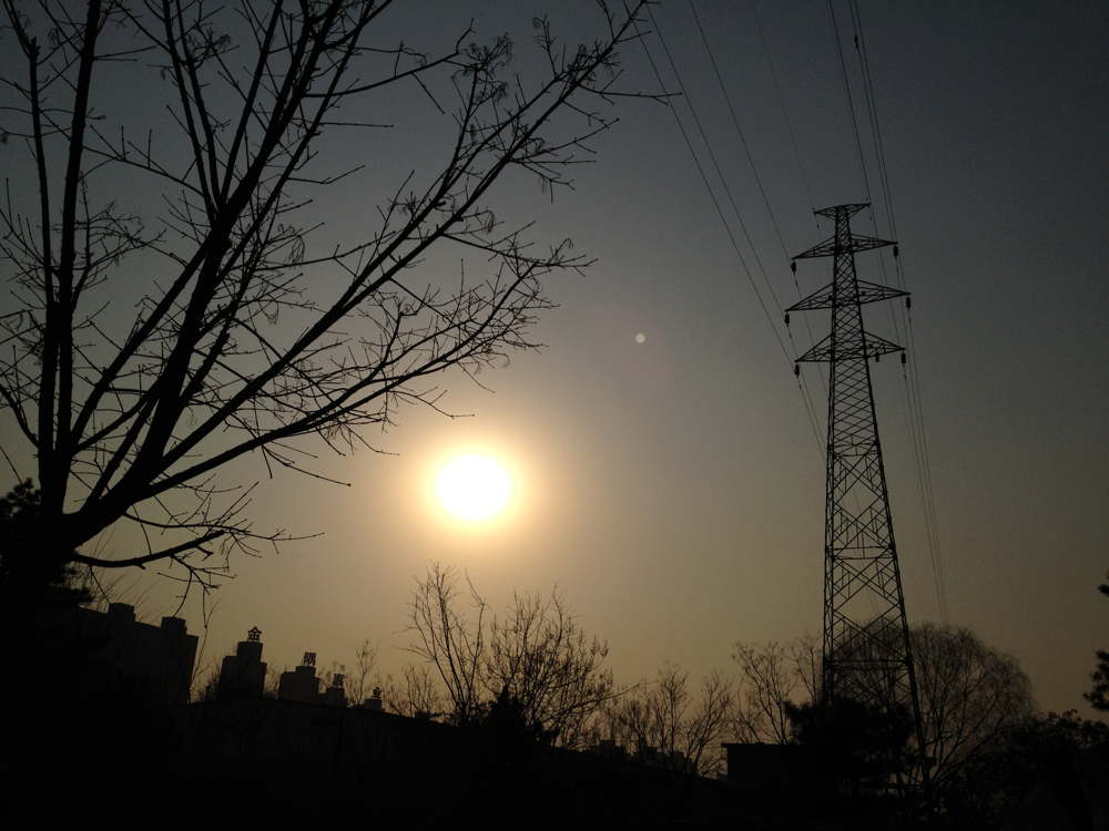 46 IMG 1191jpg