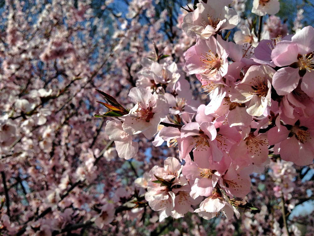 60 IMG 1650jpg