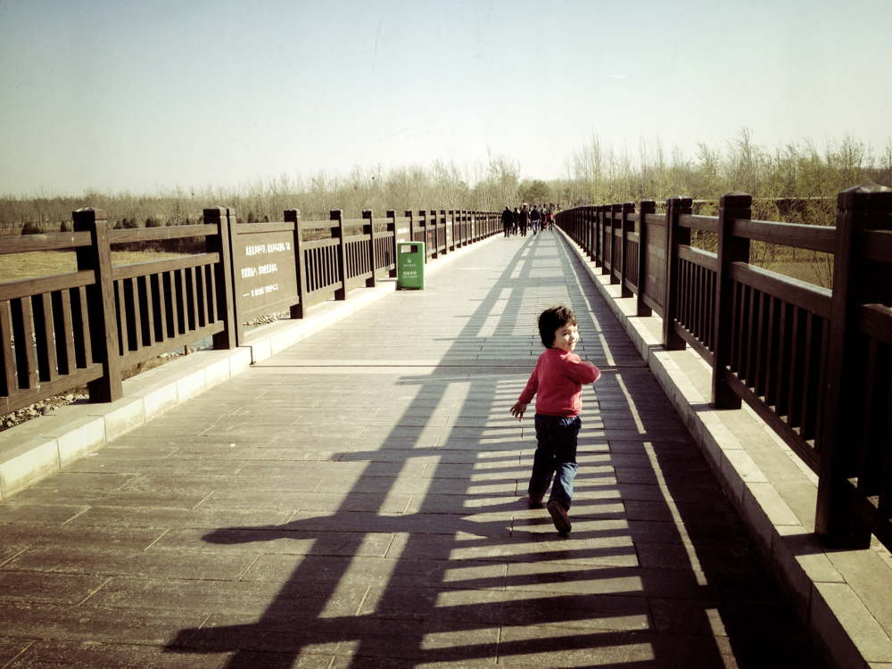 62 IMG 1651jpg