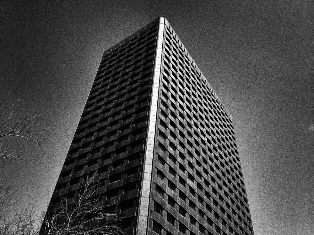 63 IMG 1656jpg