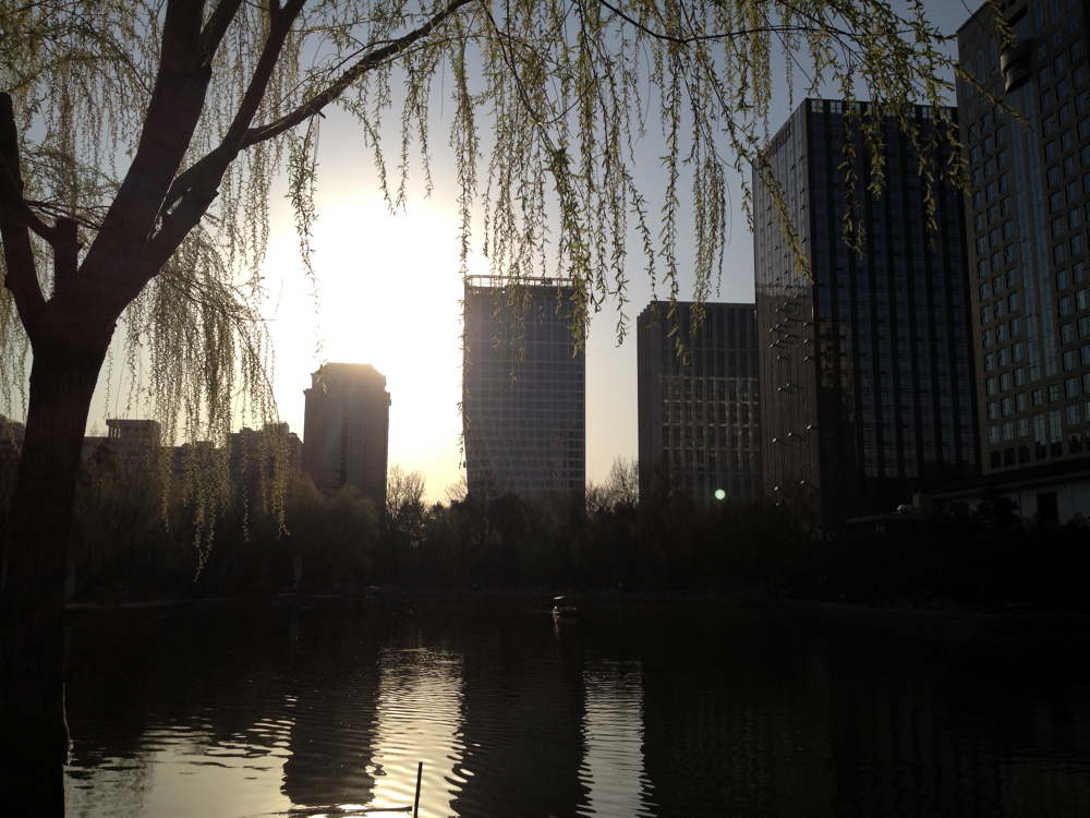 65 IMG 1705jpg