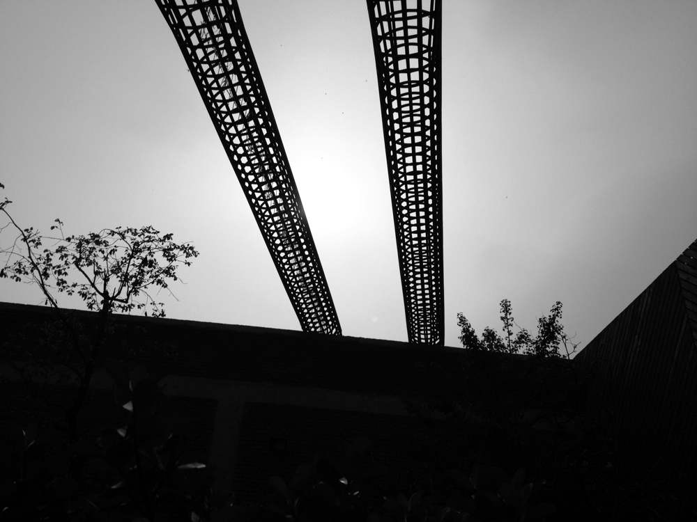 72 IMG 1961jpg