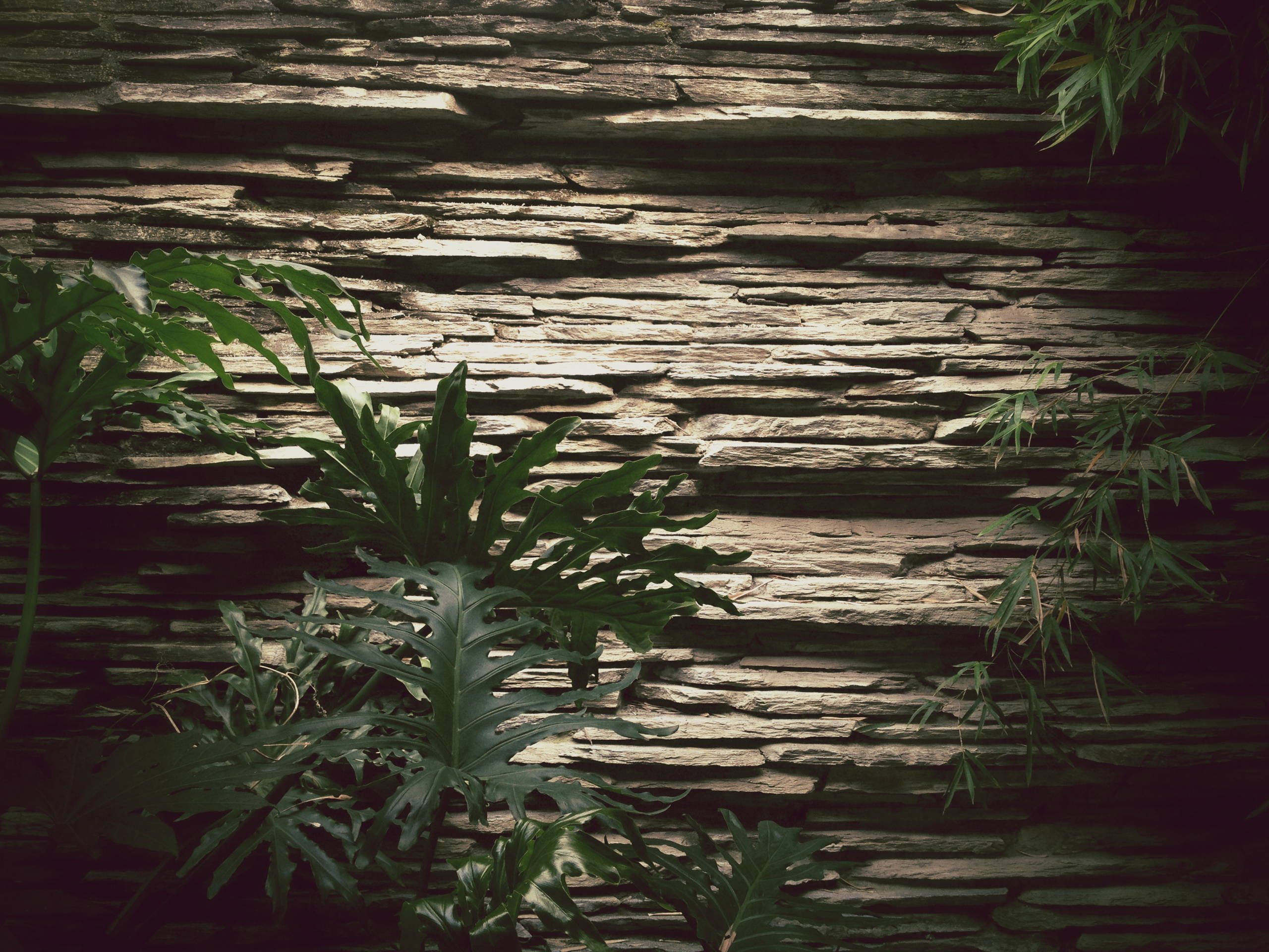 IMG 7767