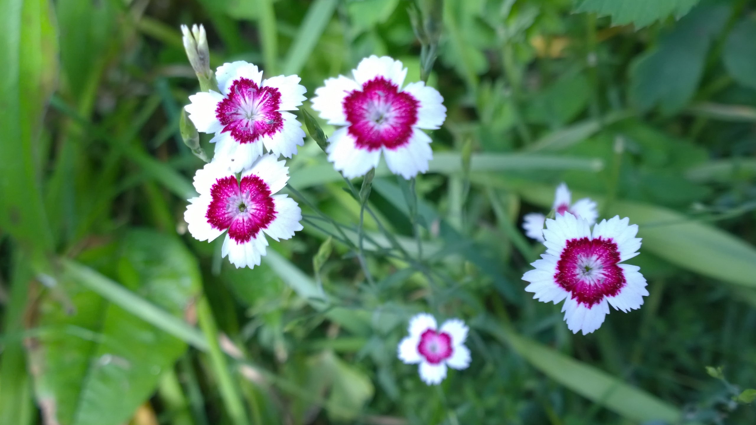 WP 20140714 16 36 39 Pro