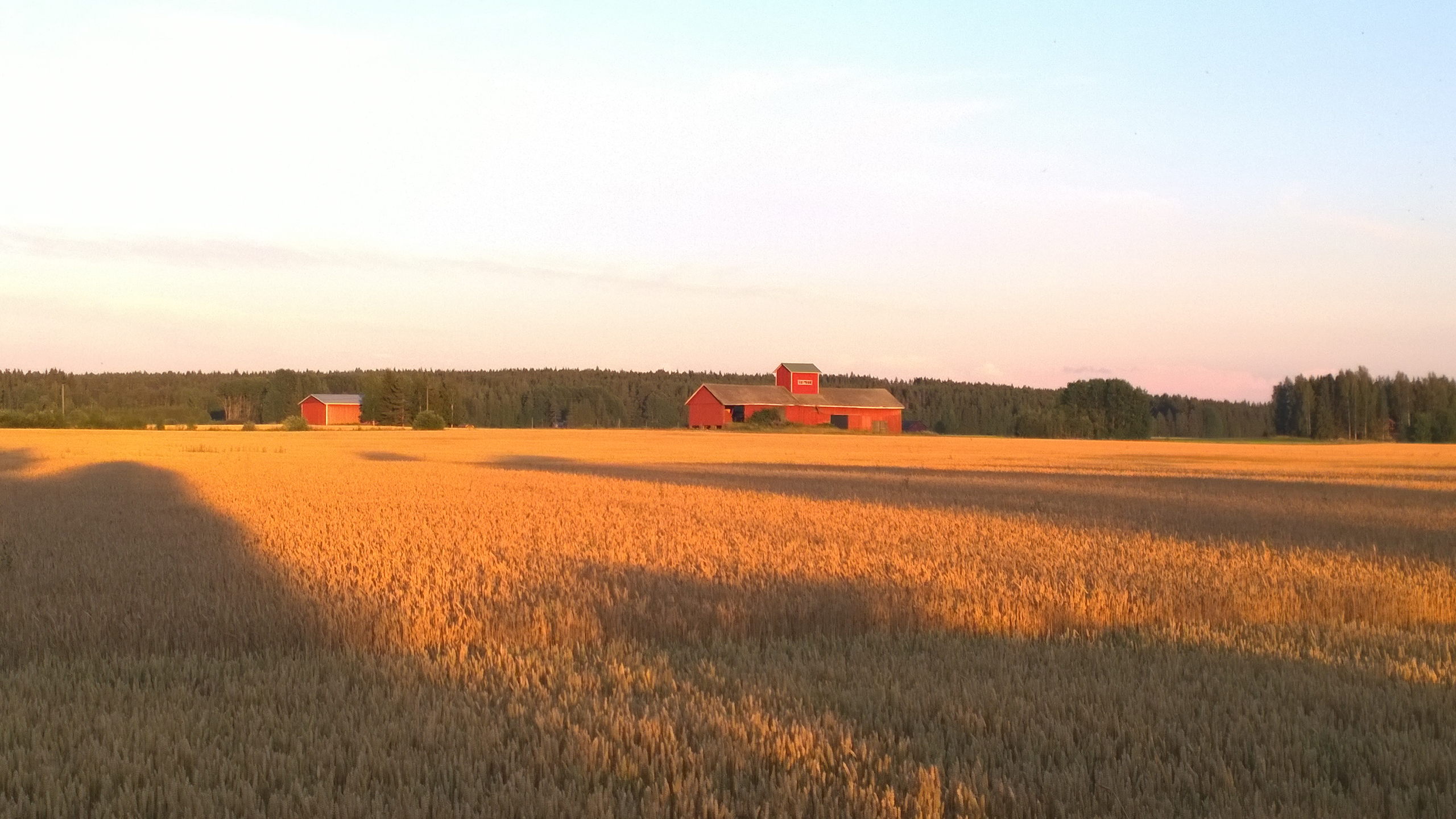WP 20140731 21 25 45 Pro