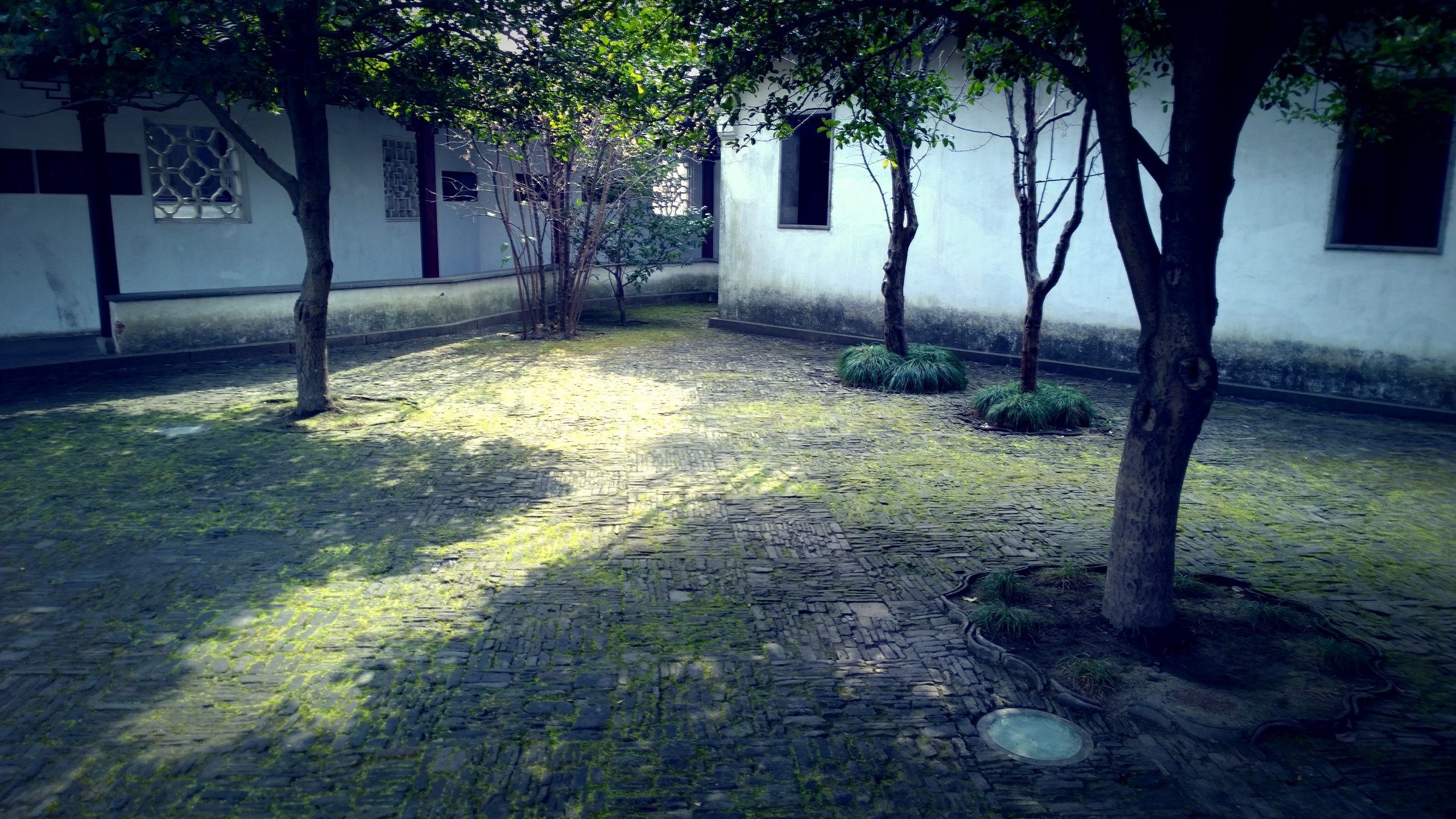 WP 20150217 5948