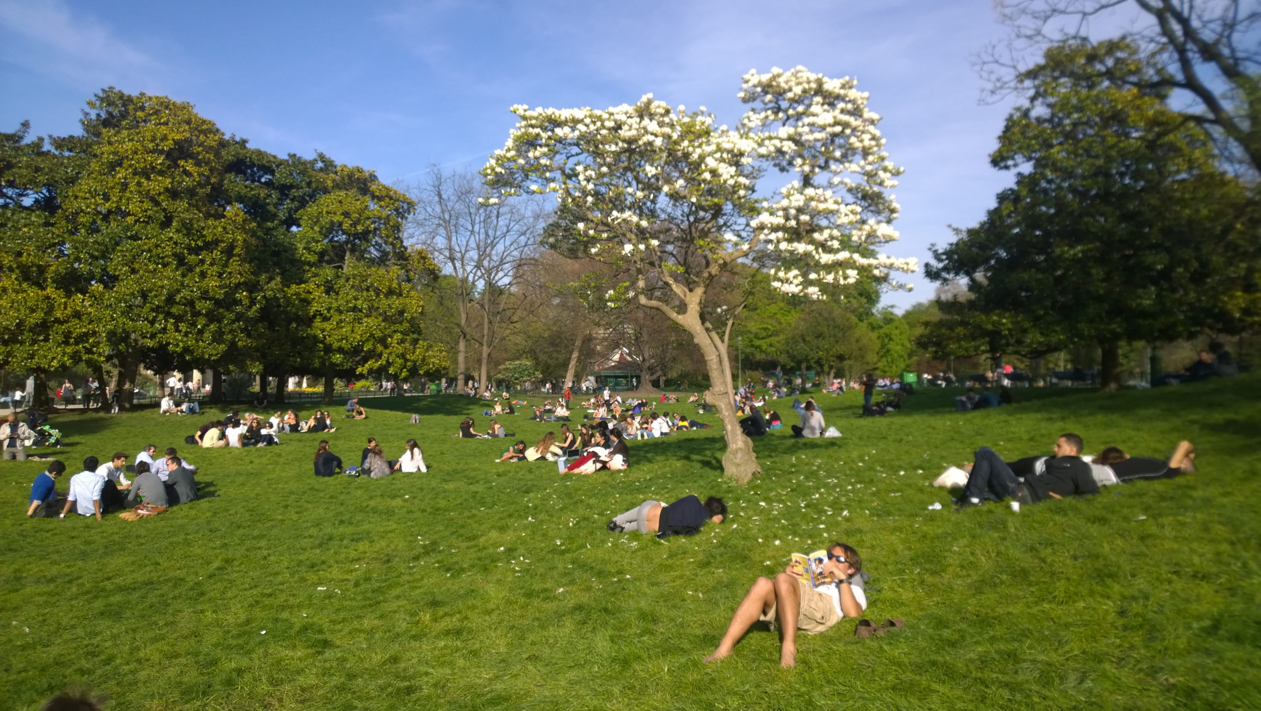 WP 20150413 18 02 44 Pro