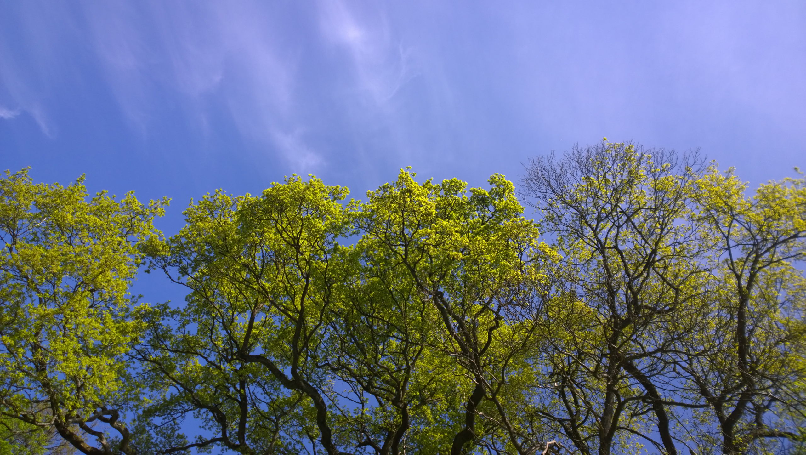 WP 20150418 13 10 29 Pro