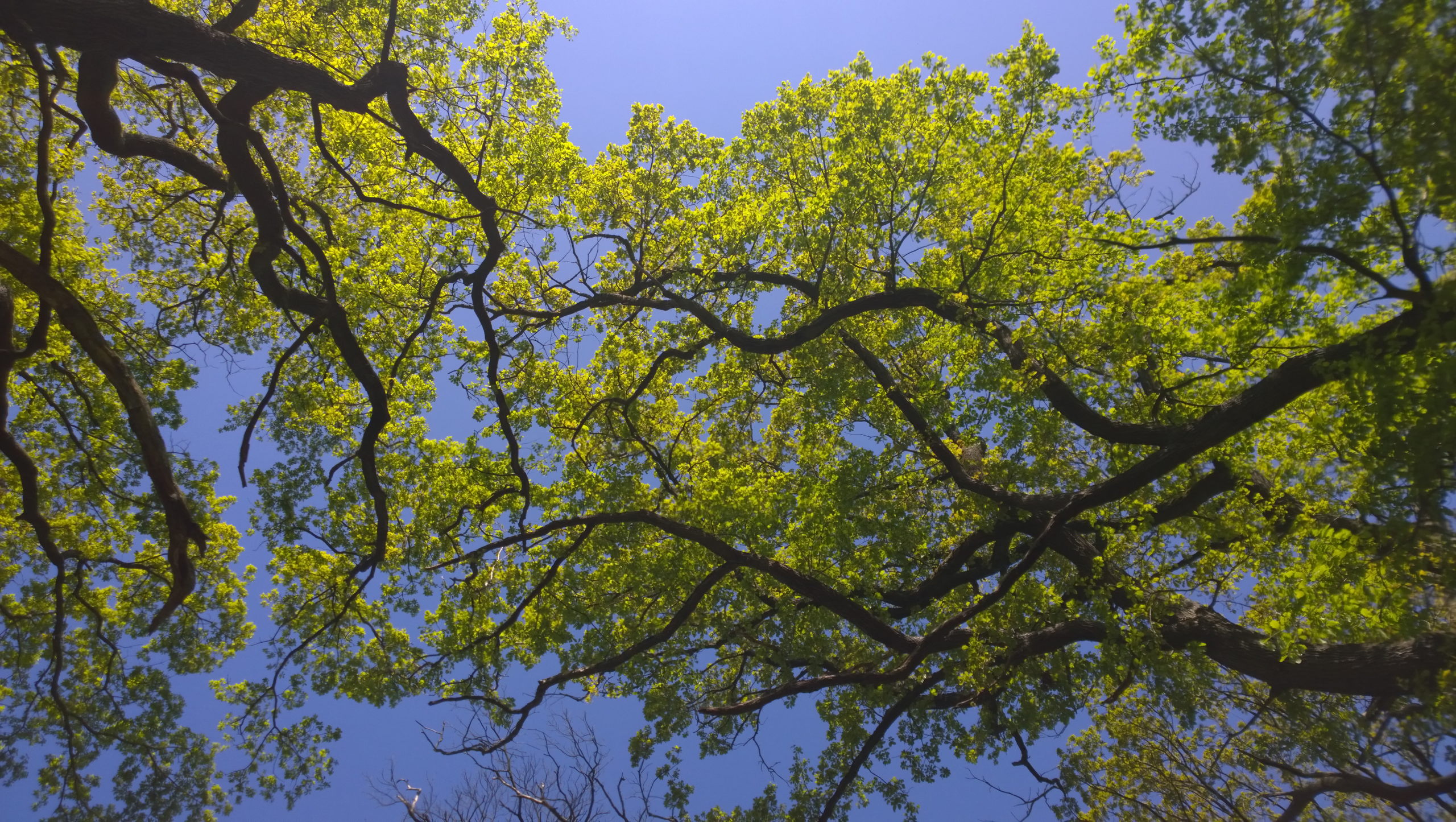 WP 20150422 11 51 46 Pro