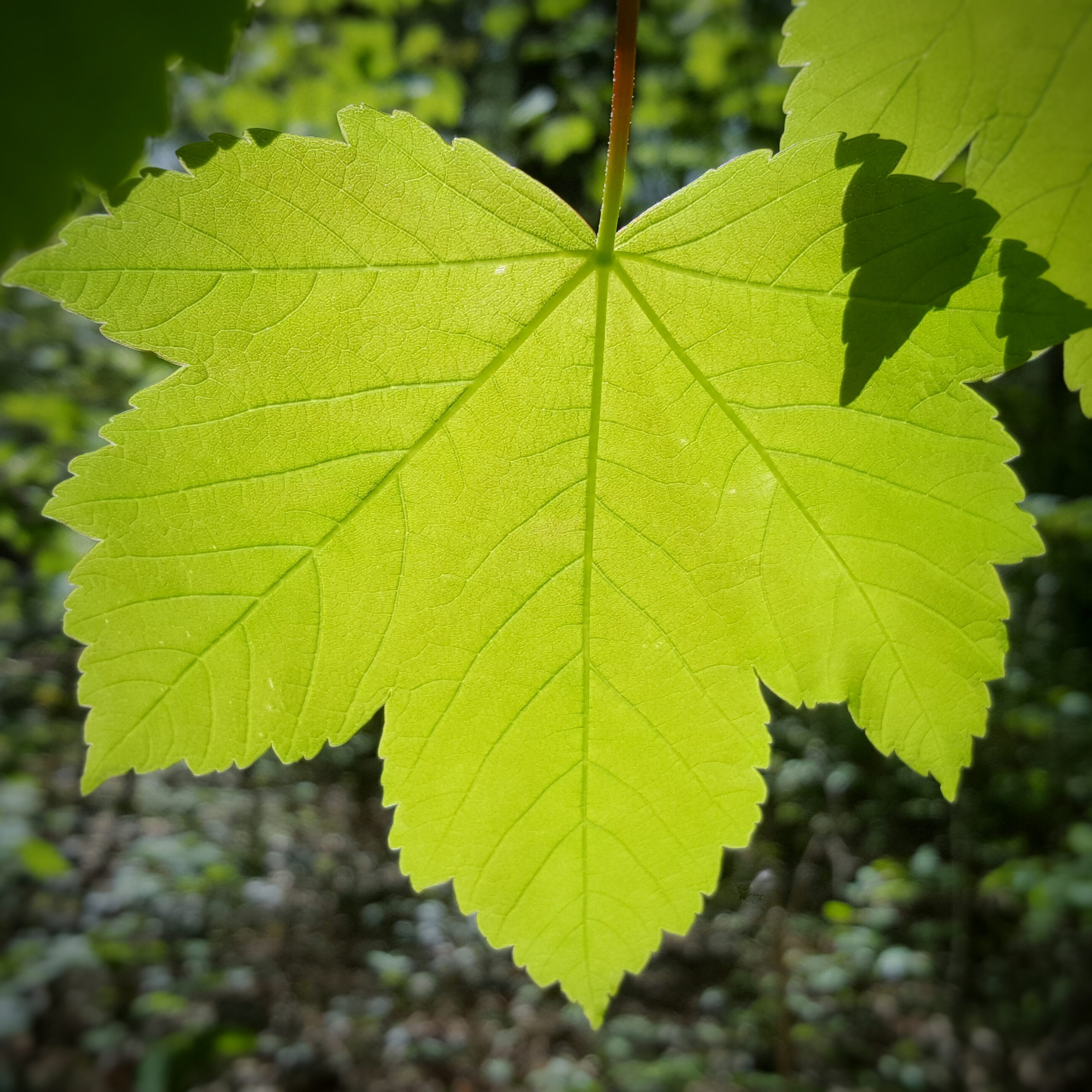 20160420 153315 01