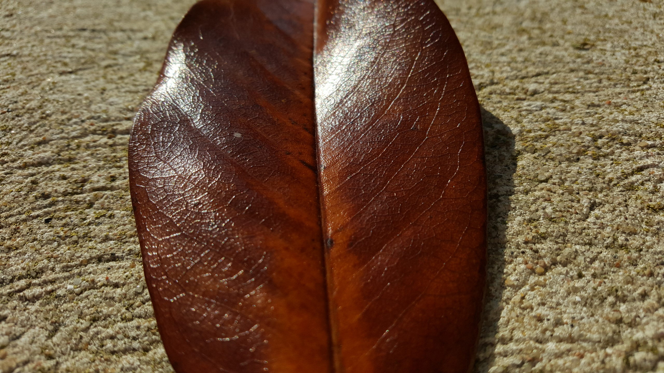 20161009 160351