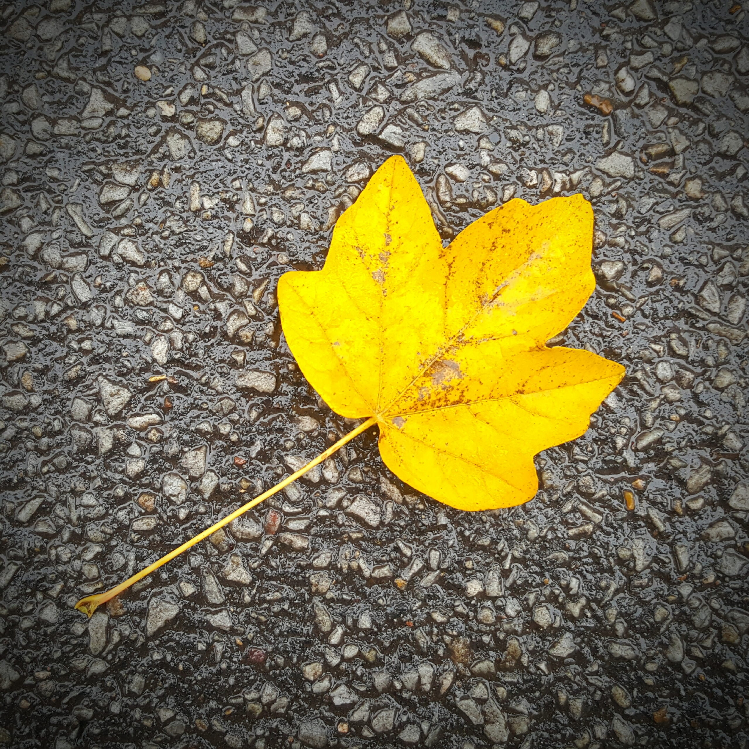20161130 151808