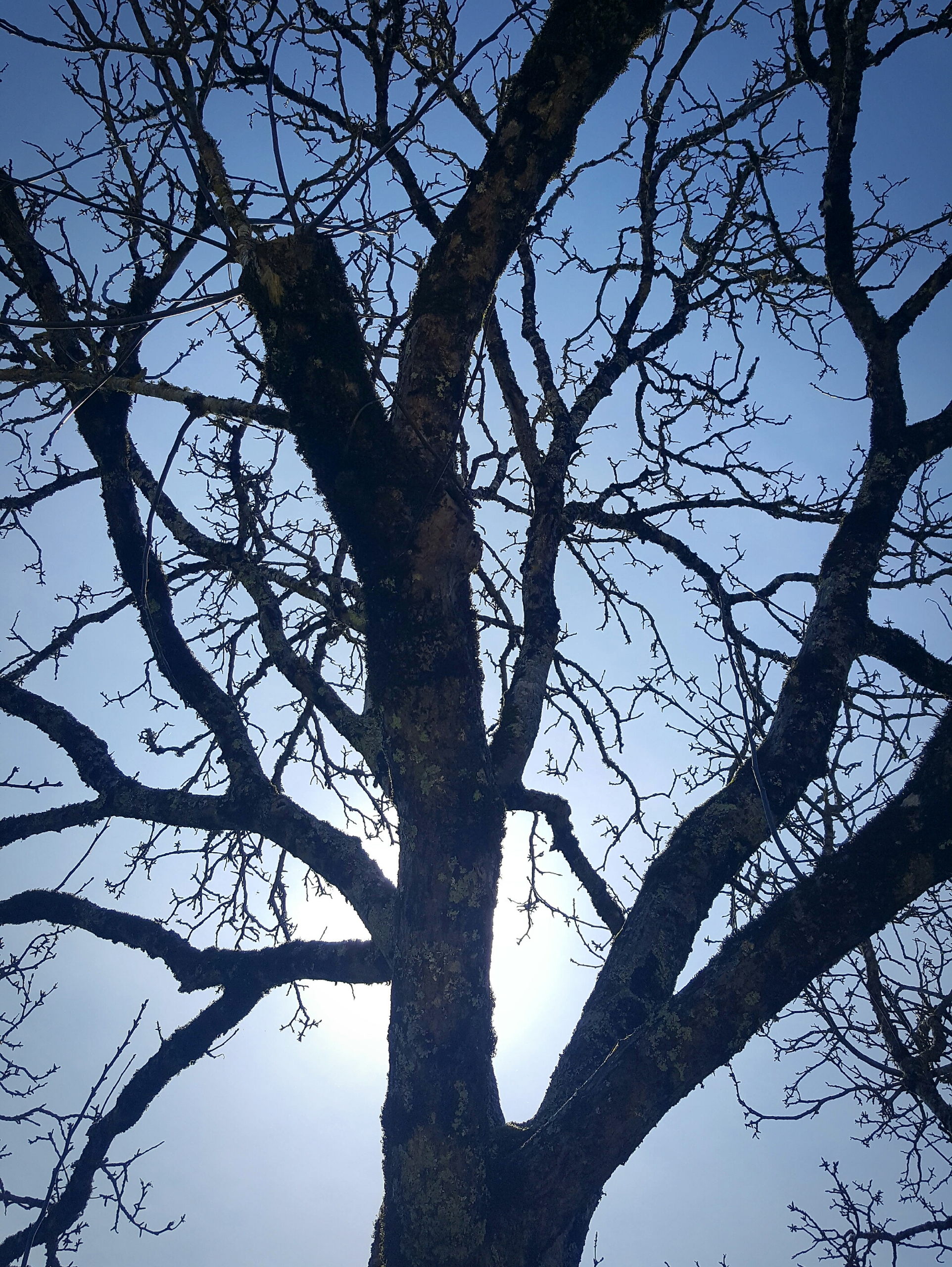 20170503 094120