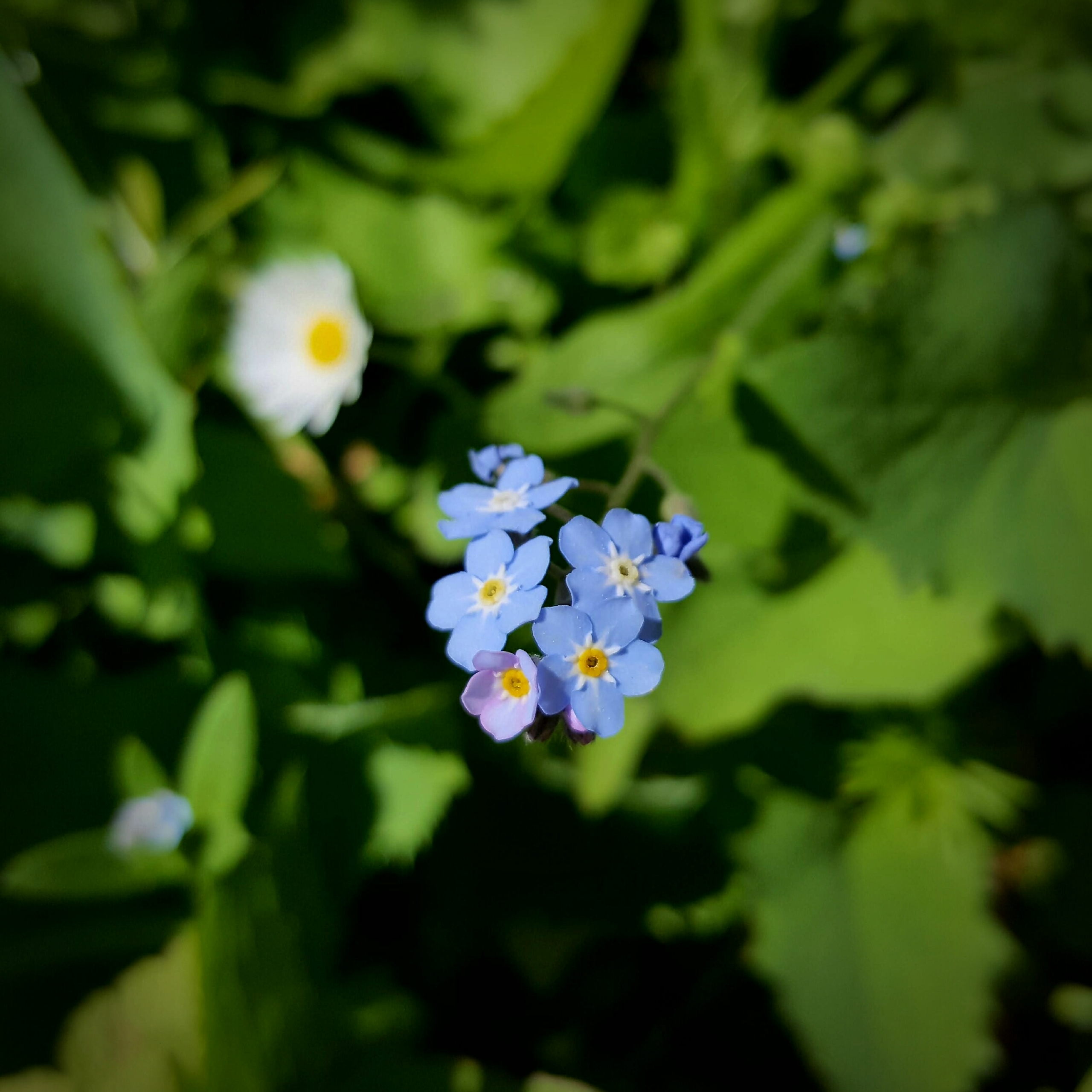 20170511 084829
