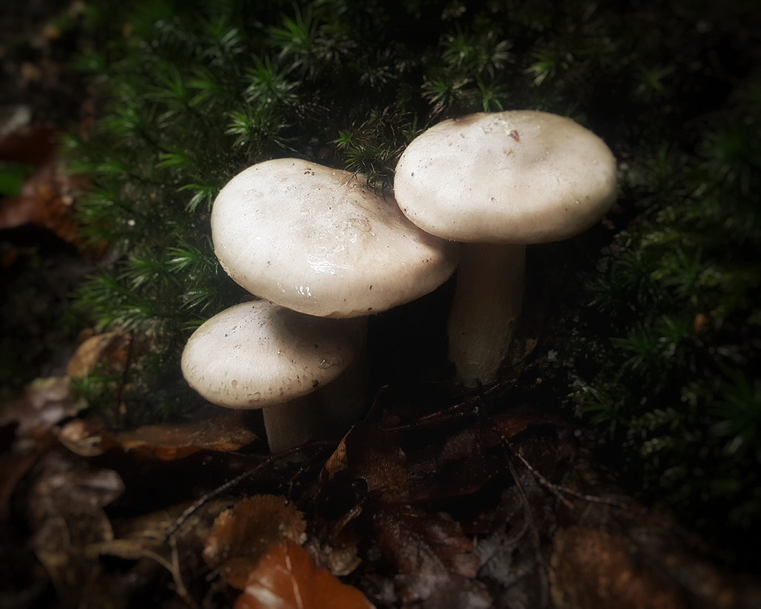 20171001 155915 01