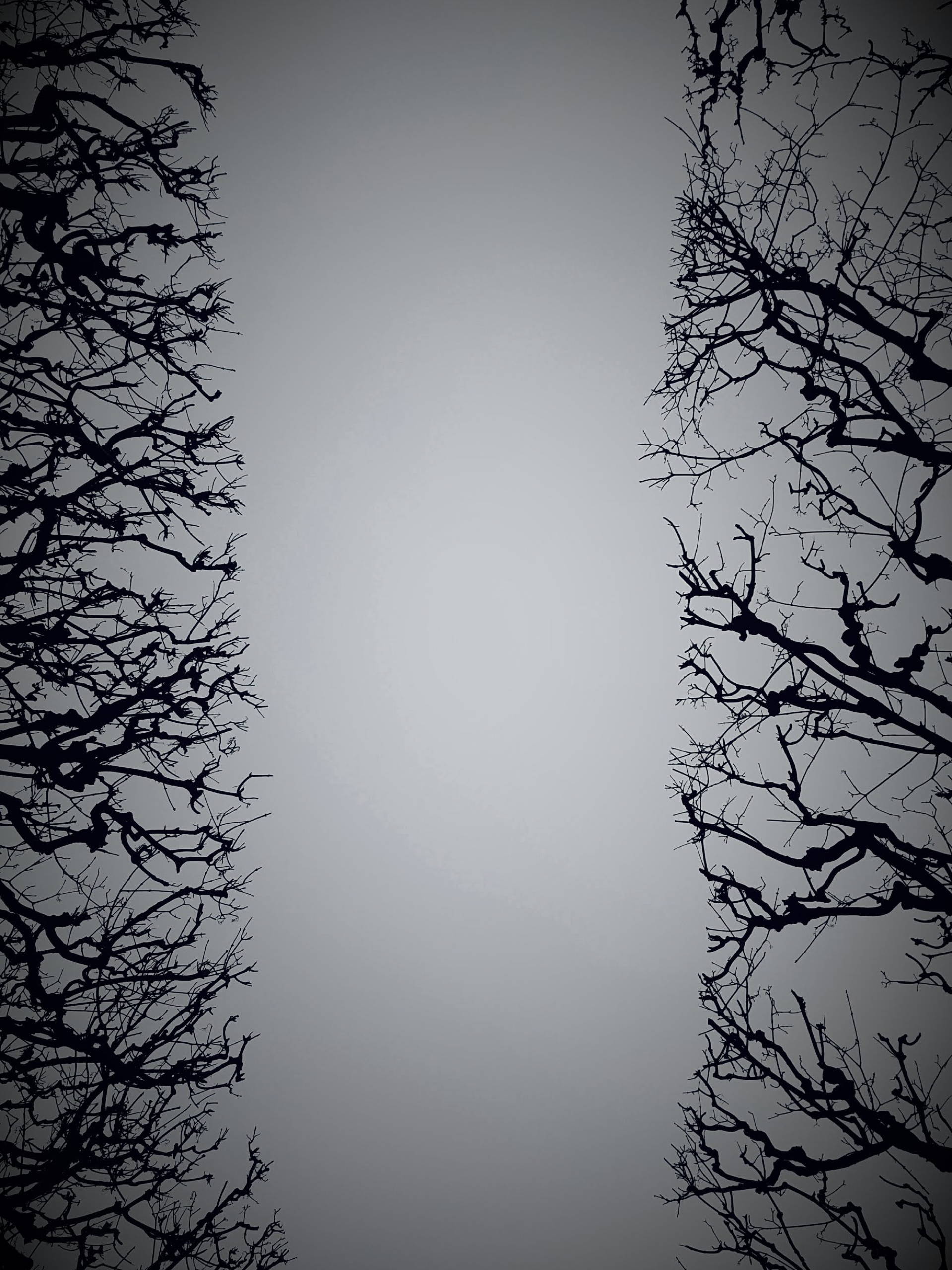 20180302 090828