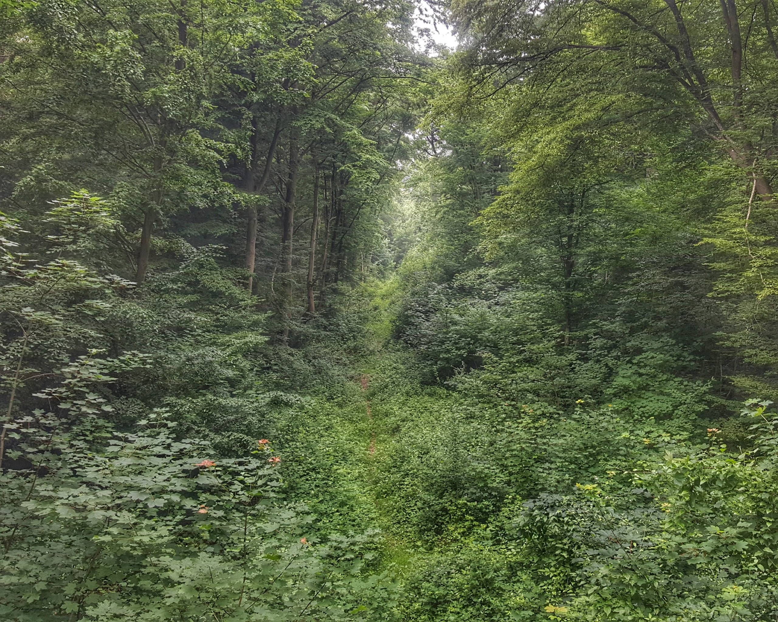 20180609 121435 01