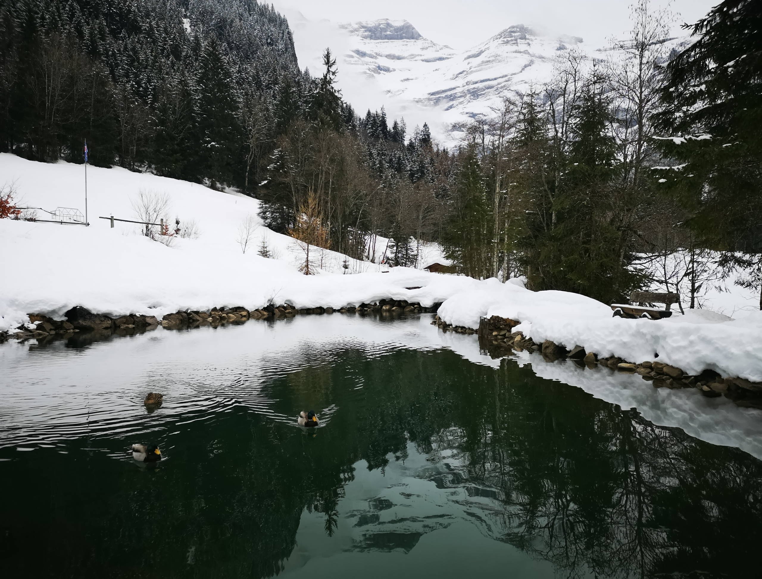 IMG 20190302 124524