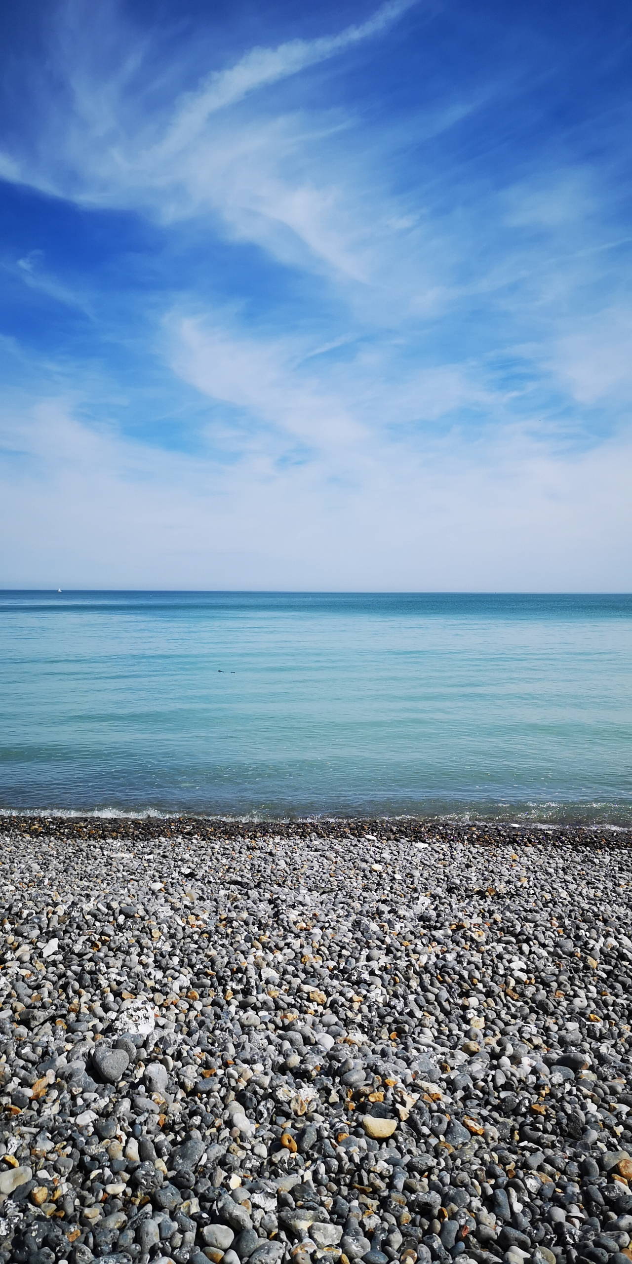 IMG 20190602 105335