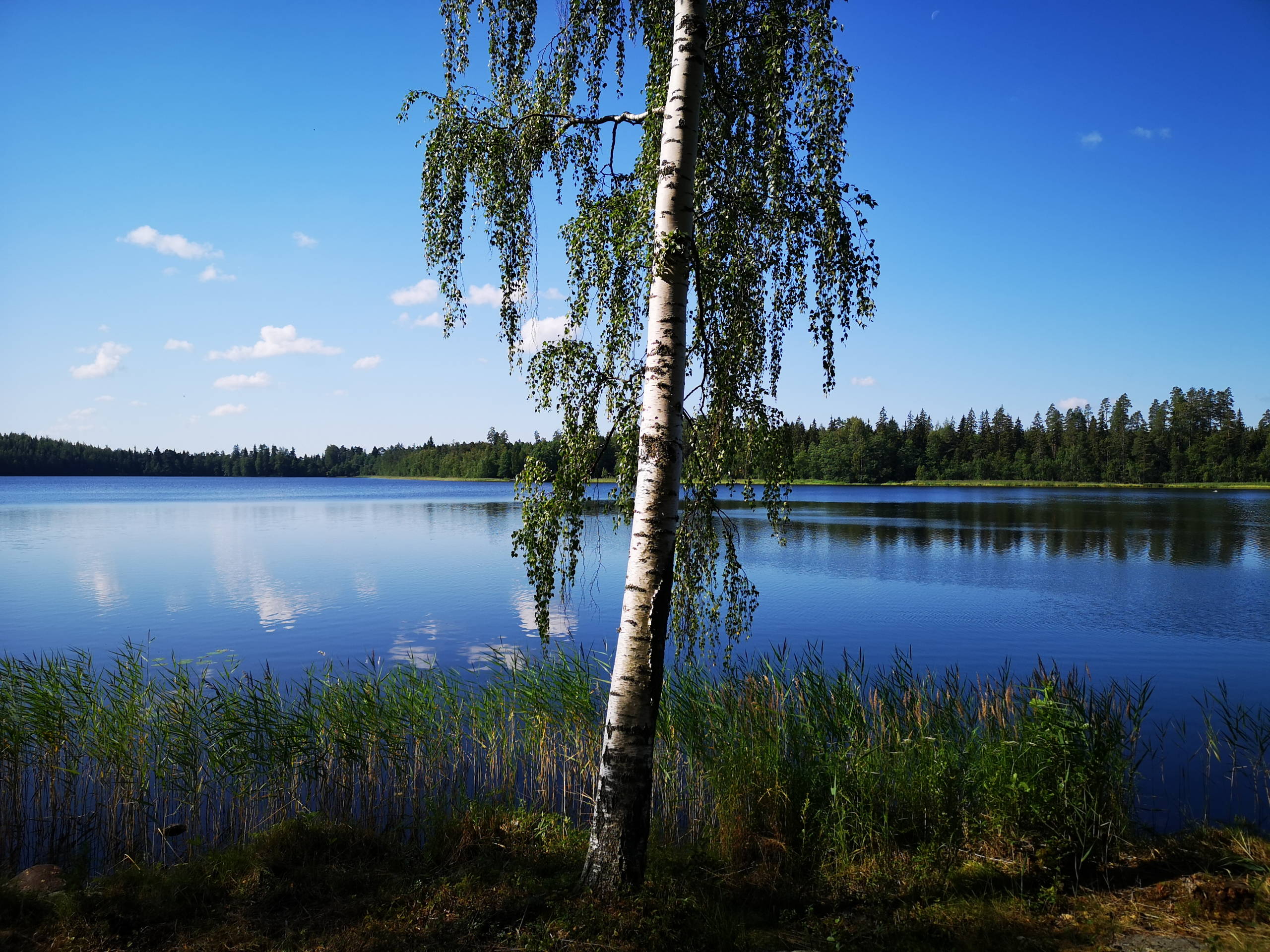 IMG 20190725 110420